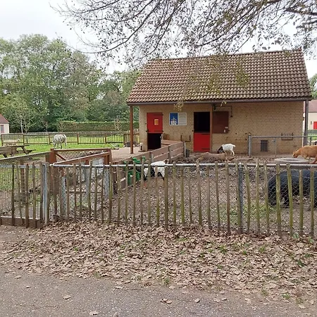 Rumah Senang Wellness Met Hottub En Tuin Ewijk