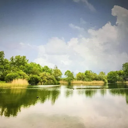 Rumah Senang Wellness Met Hottub En Tuin Ewijk